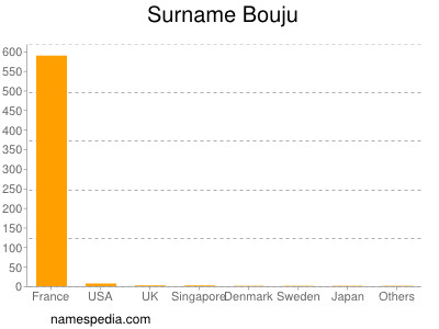 Familiennamen Bouju