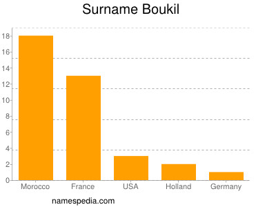 Surname Boukil