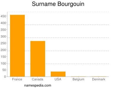 Familiennamen Bourgouin