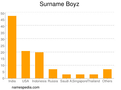 Familiennamen Boyz