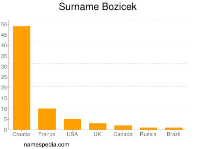 Familiennamen Bozicek