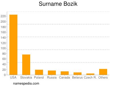 Familiennamen Bozik