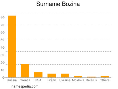 Familiennamen Bozina