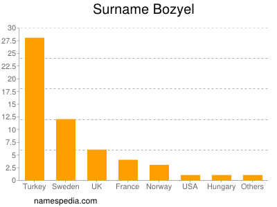 Familiennamen Bozyel