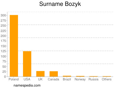 Familiennamen Bozyk