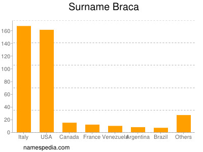 Surname Braca