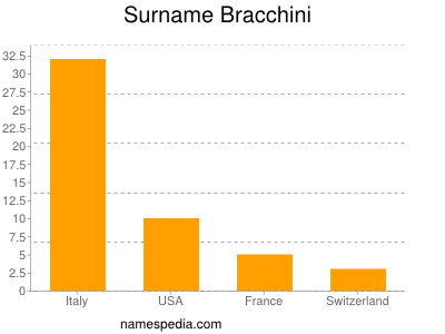 Surname Bracchini