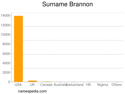 Familiennamen Brannon