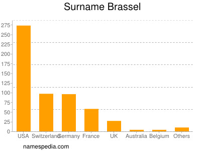 Familiennamen Brassel