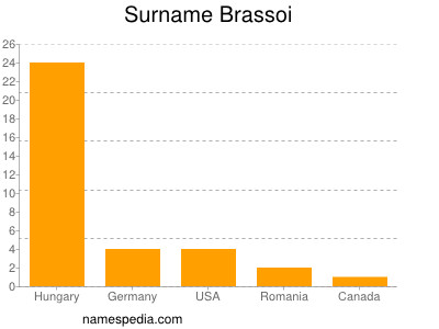 Familiennamen Brassoi