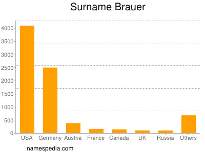 Familiennamen Brauer