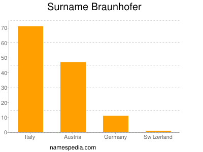 Familiennamen Braunhofer