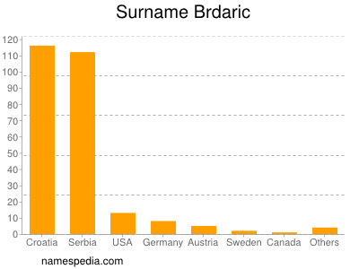 Familiennamen Brdaric