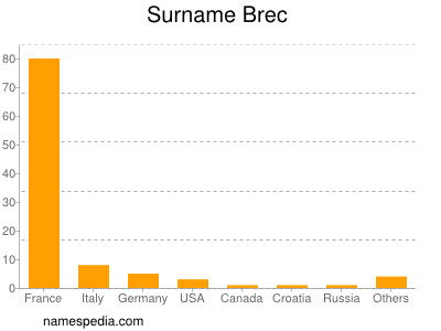 Surname Brec