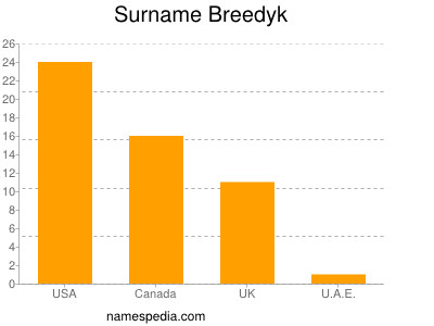 Familiennamen Breedyk