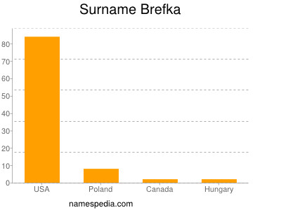 Familiennamen Brefka
