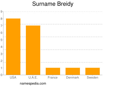 Surname Breidy