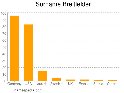 Familiennamen Breitfelder