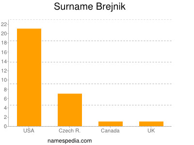 Familiennamen Brejnik