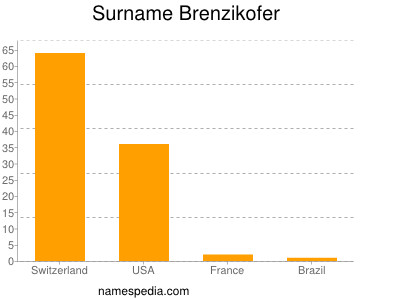 Familiennamen Brenzikofer