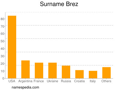 Surname Brez