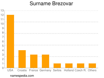 Familiennamen Brezovar