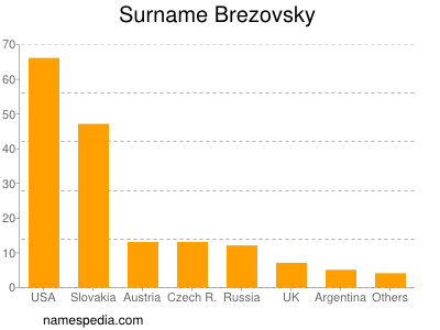 Familiennamen Brezovsky
