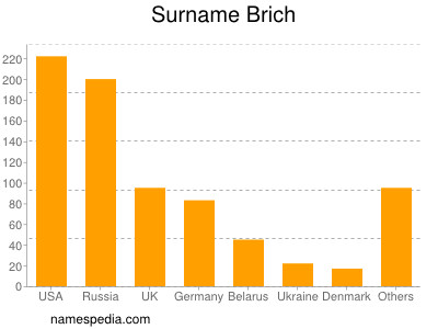 Surname Brich