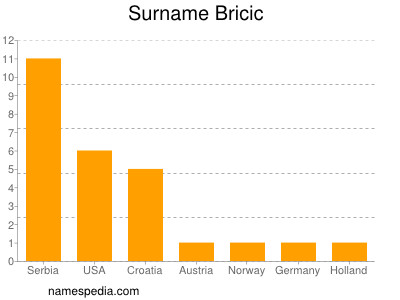 Familiennamen Bricic