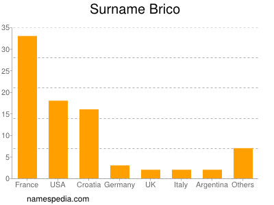 Surname Brico