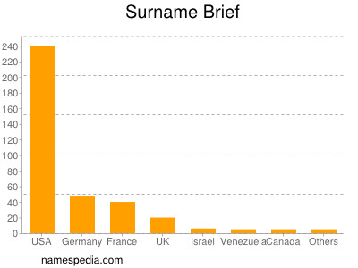 Surname Brief