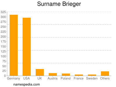 Familiennamen Brieger