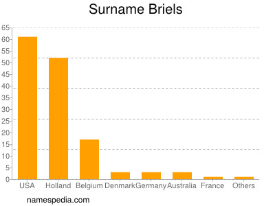 Surname Briels