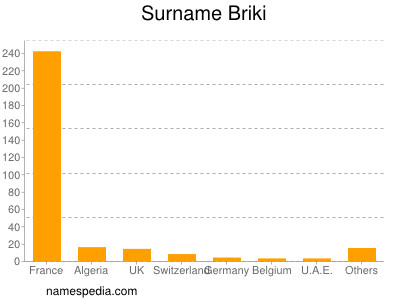 Familiennamen Briki