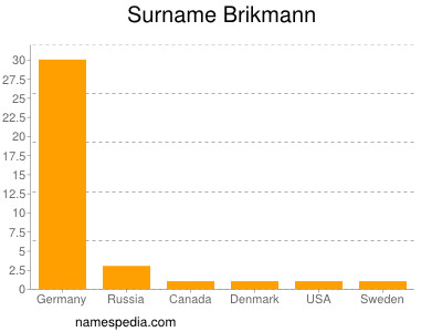 Surname Brikmann