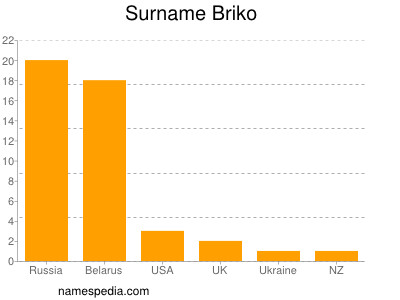 Familiennamen Briko