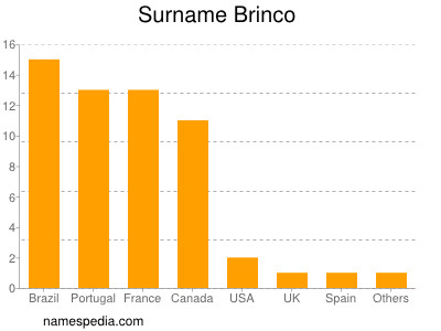 Surname Brinco