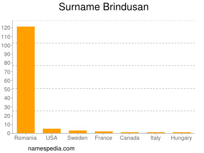 Familiennamen Brindusan