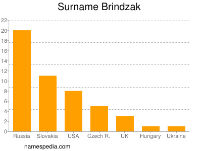 Familiennamen Brindzak