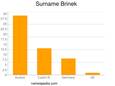 Surname Brinek