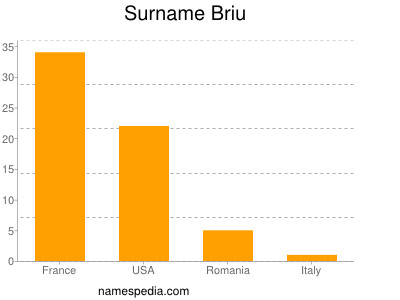 Familiennamen Briu