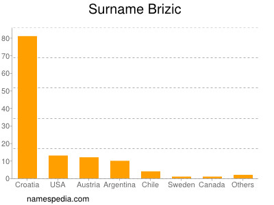 Familiennamen Brizic