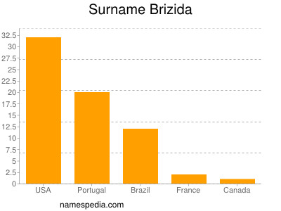 Surname Brizida