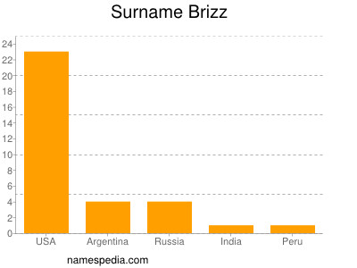 Familiennamen Brizz