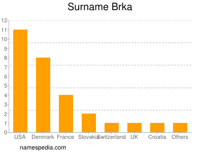 Familiennamen Brka