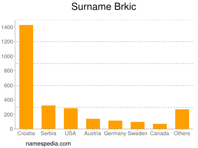 Familiennamen Brkic