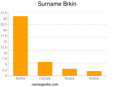 Familiennamen Brkin