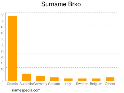 Familiennamen Brko