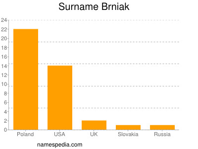 Familiennamen Brniak