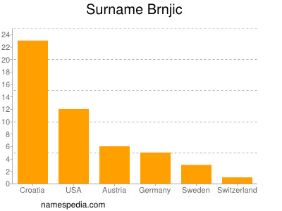 Surname Brnjic